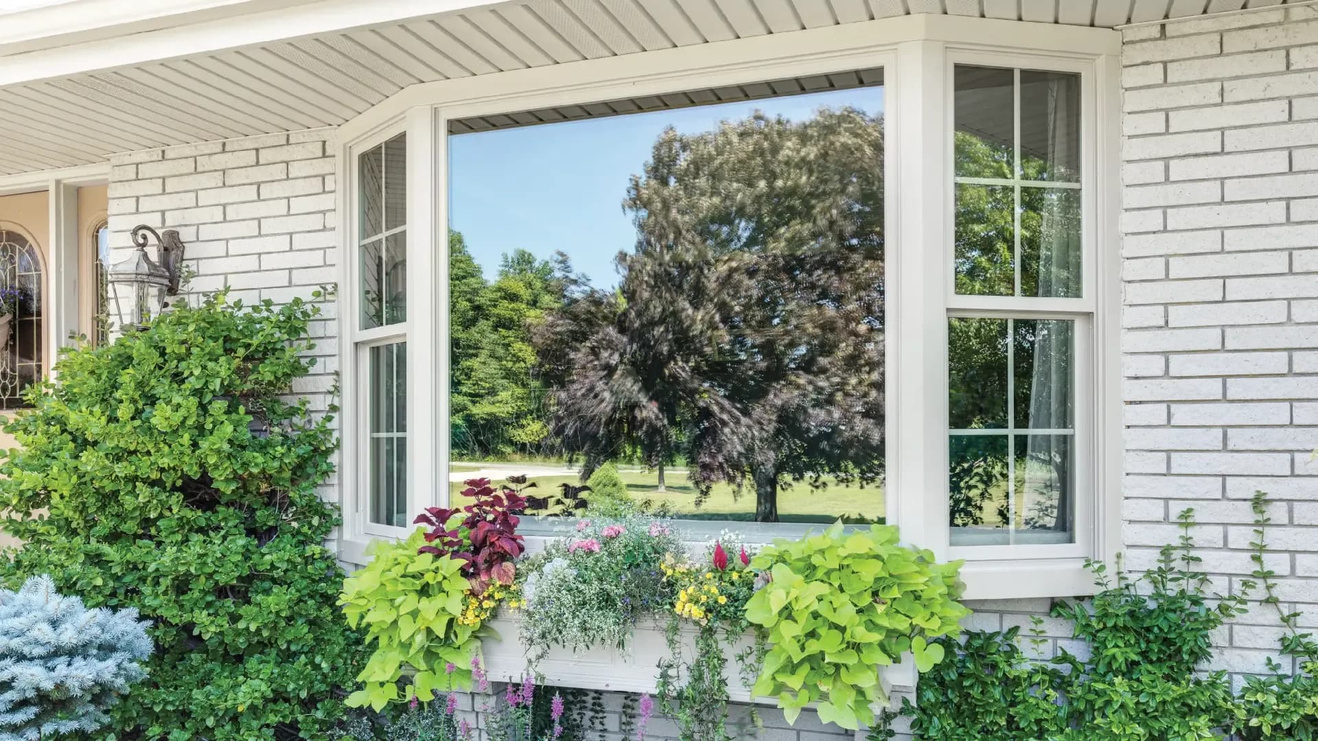 A white brick house features a large bay window with a vibrant tree reflection. A window box displays colorful flowers and lush greenery, creating a fresh, inviting scene.
