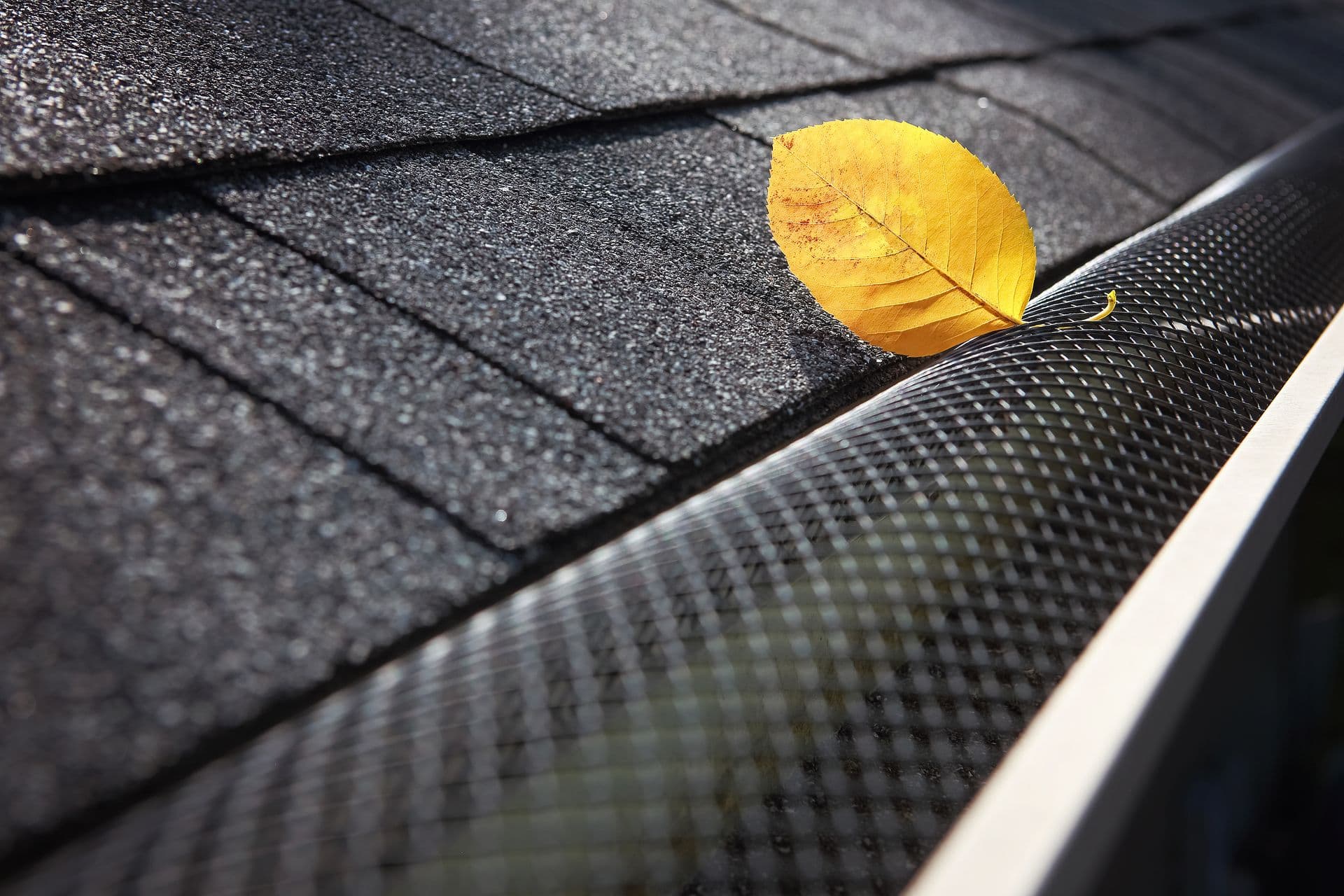 Close-up view of a yellow autumn leaf resting on top of a black mesh gutter guard along an asphalt shingle roofline.