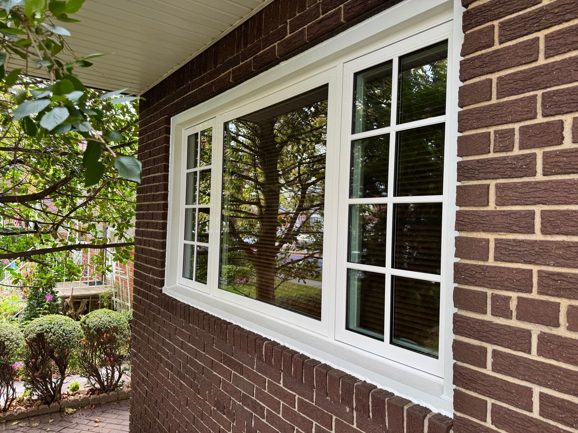 windows